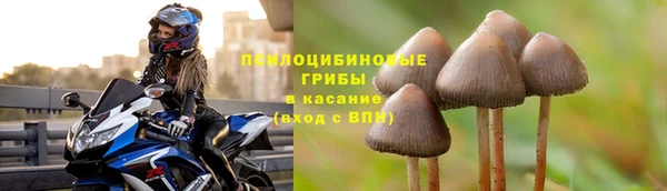 бошки Армянск