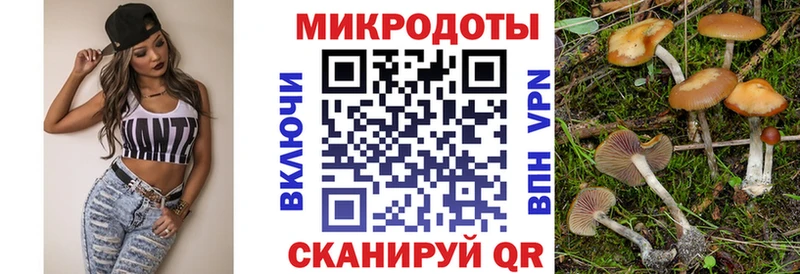 Купить где Старая Купавна Псилоцибиновые грибы Cubensis